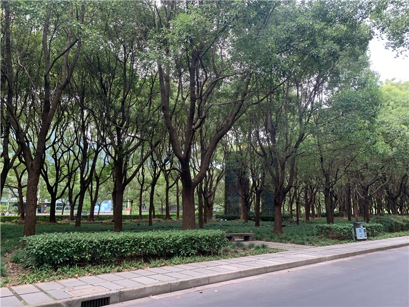 喜剧人生（二十二）