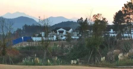 上海房屋征收专业律师事务所值得信赖的原因