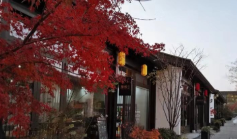 上海专业拆迁律师是如何保障拆迁工作高效落实的