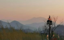 上海建筑合同律师的工作流程有哪些？