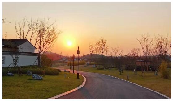 上海房产专业律师获得认可的原因有哪些？