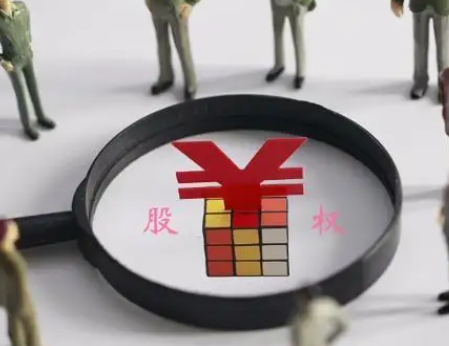 上海股权纠纷律师介绍股权纠纷处理发展趋向