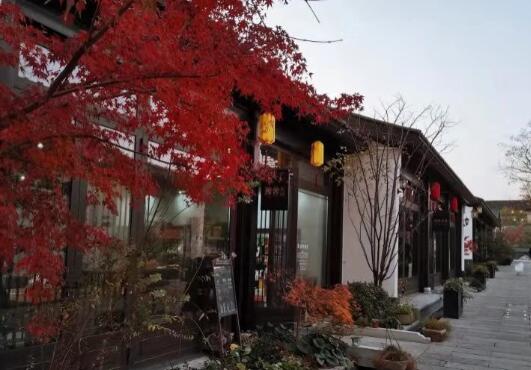 房屋征收专业律师有哪些优势