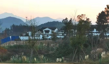 上海建筑合同律师，守护城市建设零烦恼