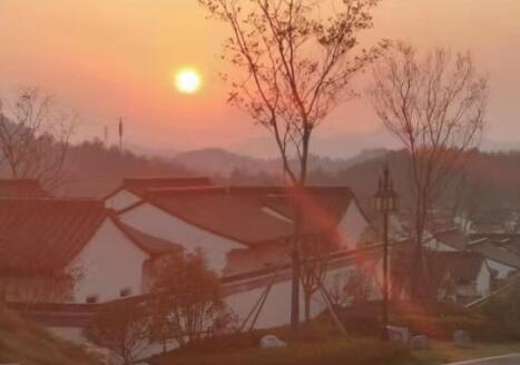 建筑合同律师在材料采购合同签订时能发挥哪些作用