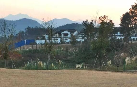 房屋征收专业律师的特点有哪些