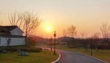 房屋征收专业律师口碑好的原因