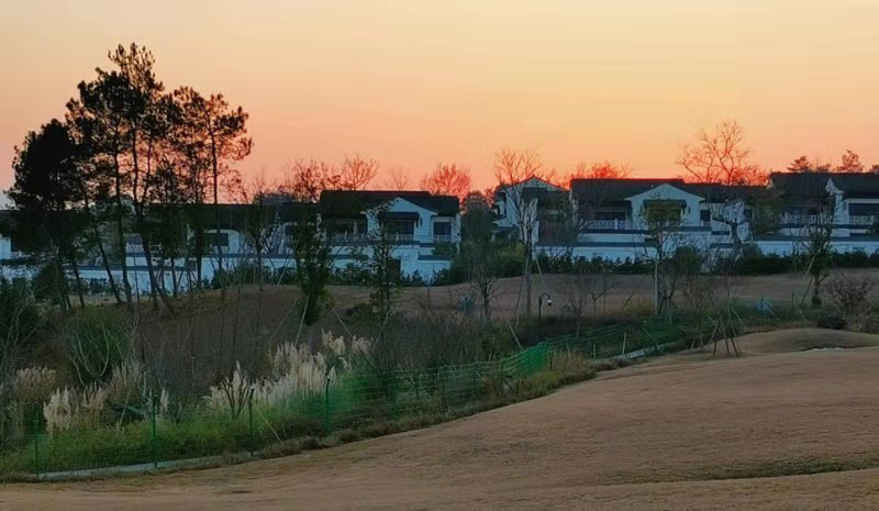 上海建筑工程律师在投标中的法律服务有哪些？