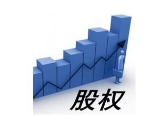 公司股东纠纷律师‍介绍：有哪些常见的公司股东纠纷