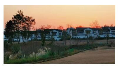 上海建筑工程律师在工程索赔中可以起到哪些作用？