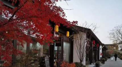 上海公司股权纠纷律师介绍：股权纠纷的几种解决办法