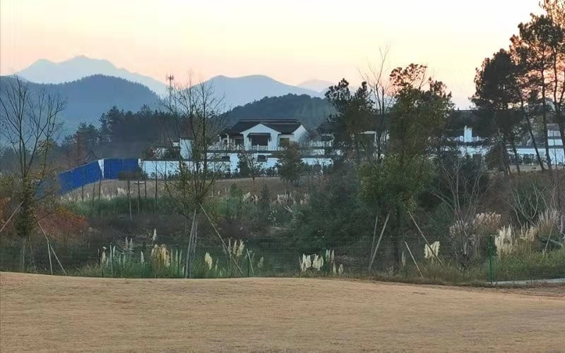 影响上海专业房产律师价格的因素有哪些