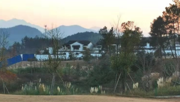 选择上海建筑合同律师的要点