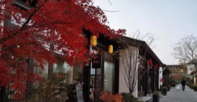 上海房产律师咨询机构介绍：通过哪些方面选择房产律师