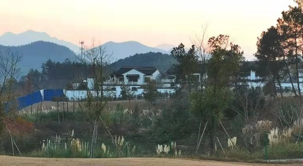 上海建筑合同律师详解：建筑合同签订需要注意哪些细节问题