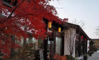 面对拆迁上海专业拆迁律师能够做什么