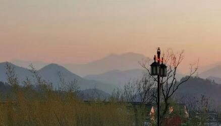 专业拆迁律师是如何确保权益维护落实