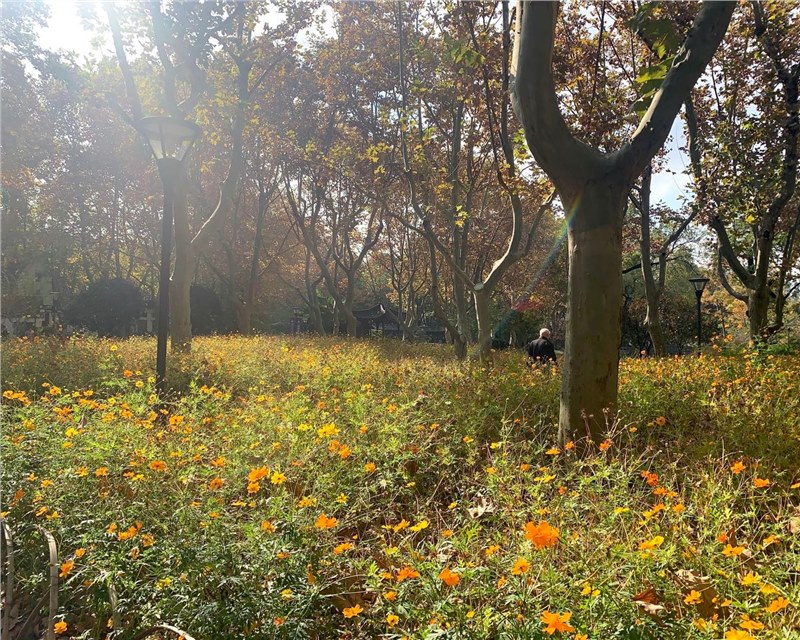 喜剧人生（十）