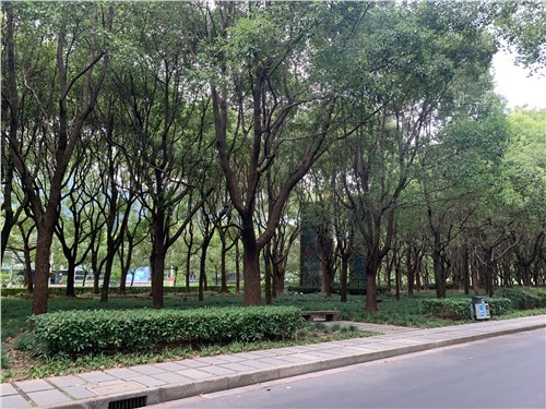 喜剧人生（二十八）