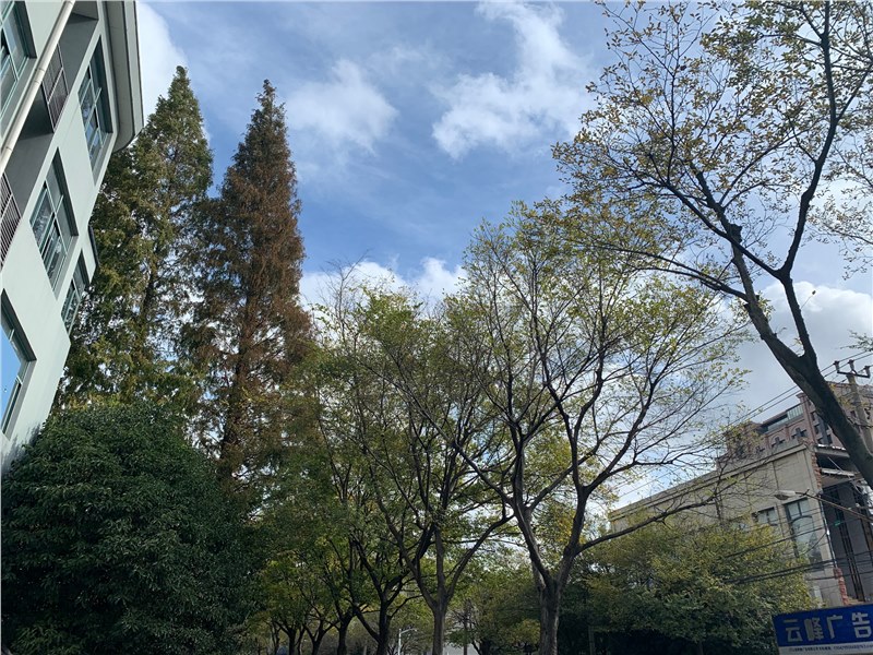 喜剧人生（八）